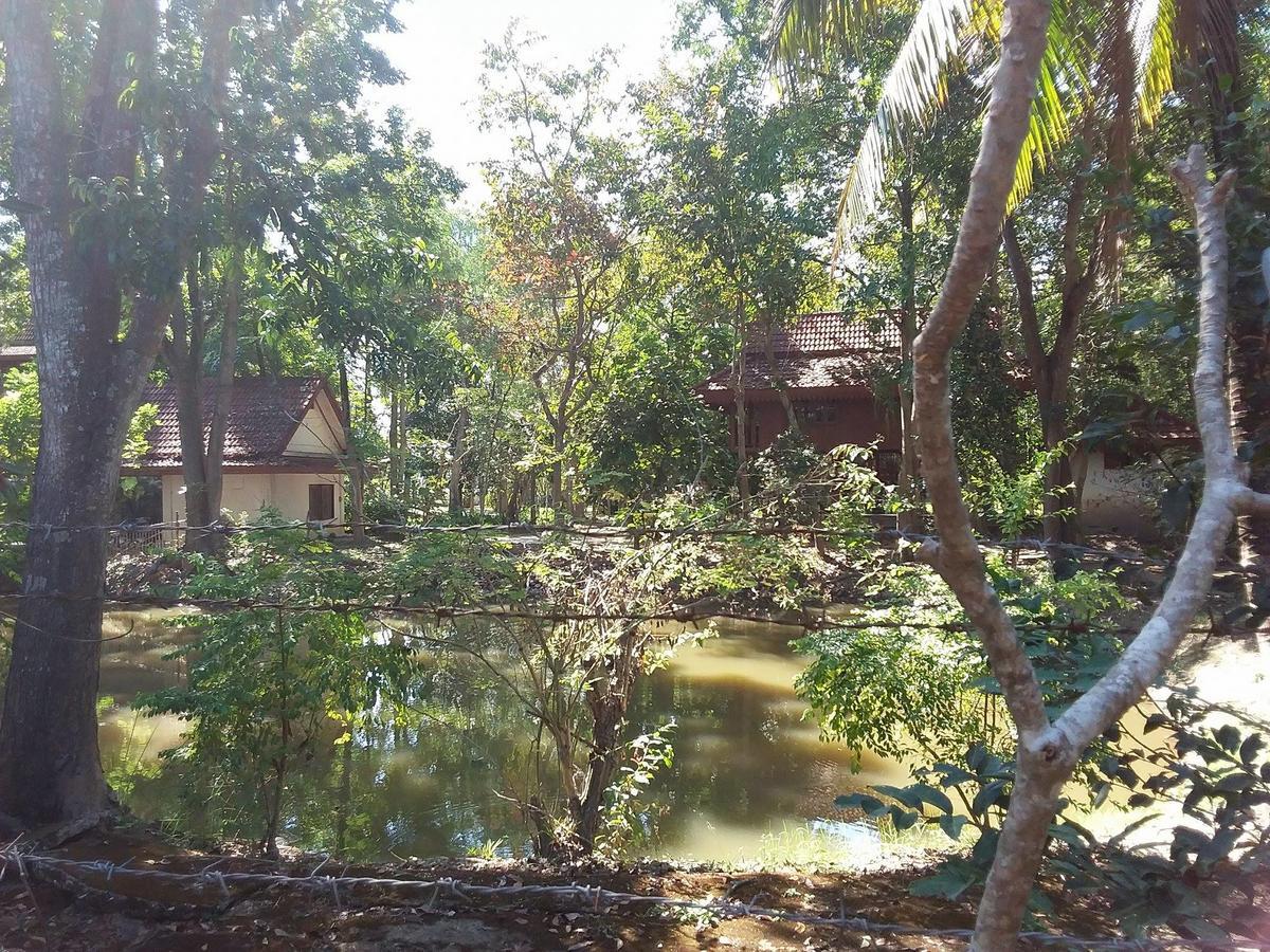 Your Home In Mae Rim Ban Muang Pha Exterior photo